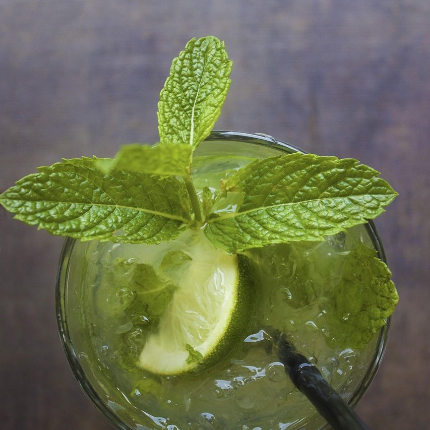 lekkerste cocktail recepten